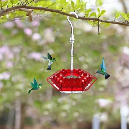 Graddi Sweety Hummingbird Feeder